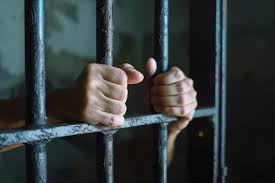 Әлеуметтік осал жандардың атынан заңсыз несие рәсімдеген топ ұсталды