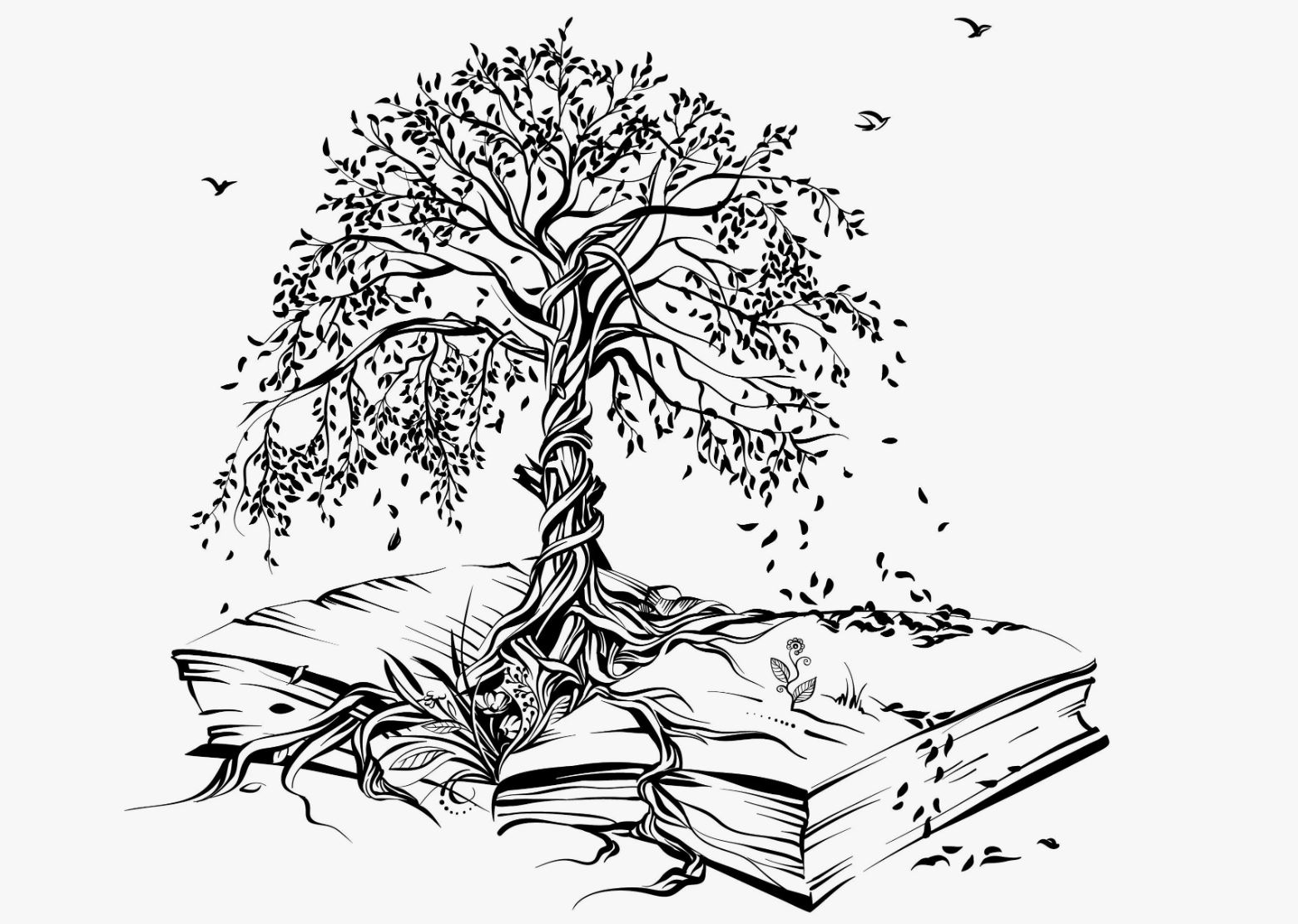 Ілім-білім қадірі