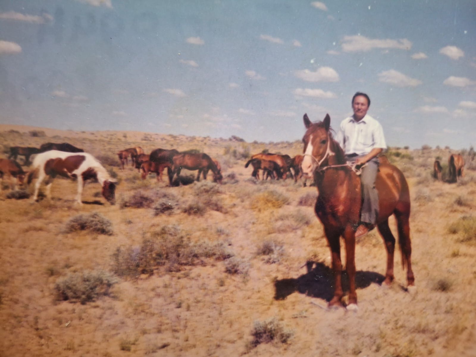 Watch Дианна Лорен порно видео онлайн