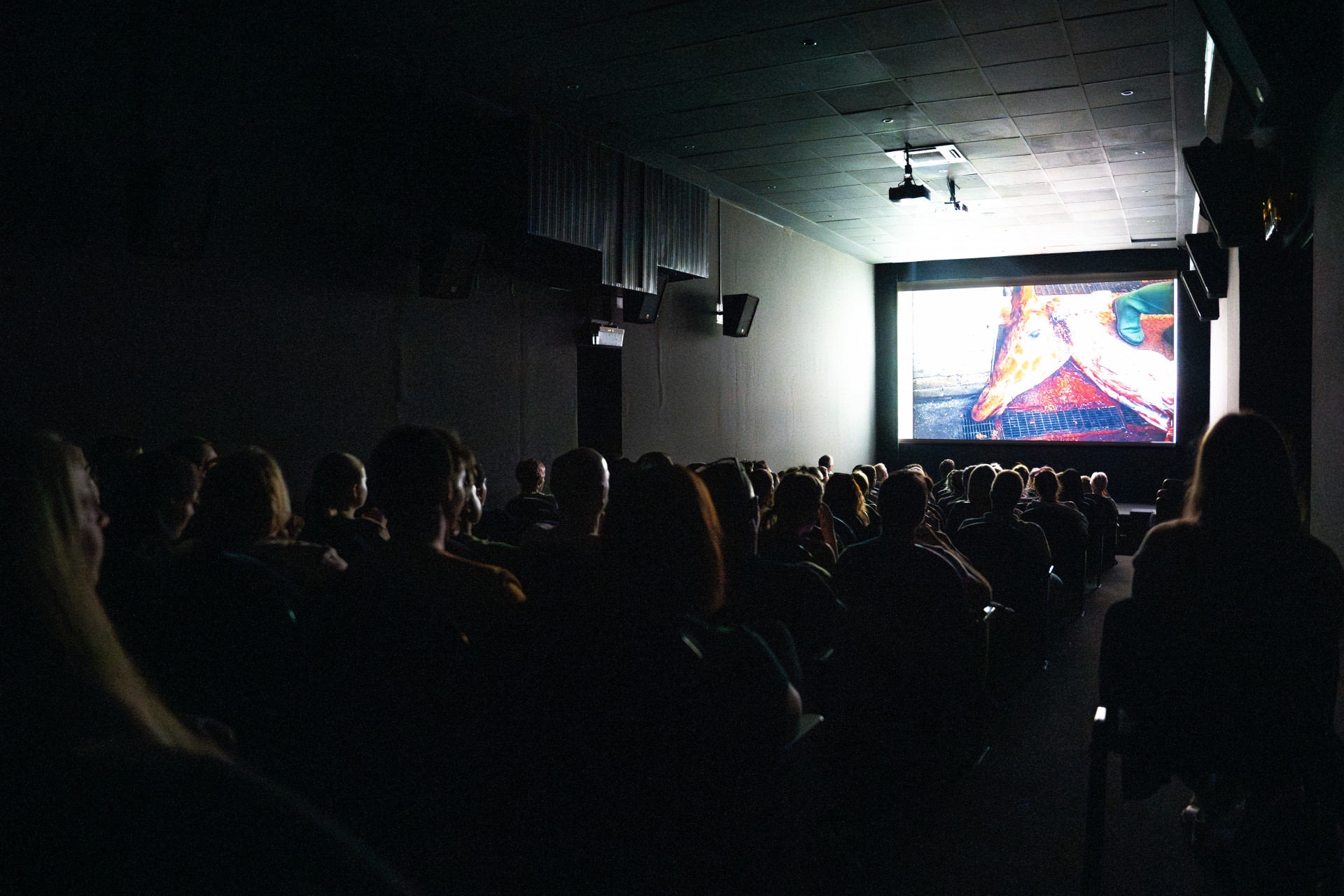 Қазақ киносы халықаралық кинофестивальде екі жүлде жеңіп алды