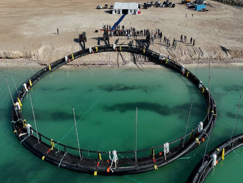 Маңғыстауда Орталық Азиядағы алғашқы теңіз аквашаруашылық жобасы іске қосылды