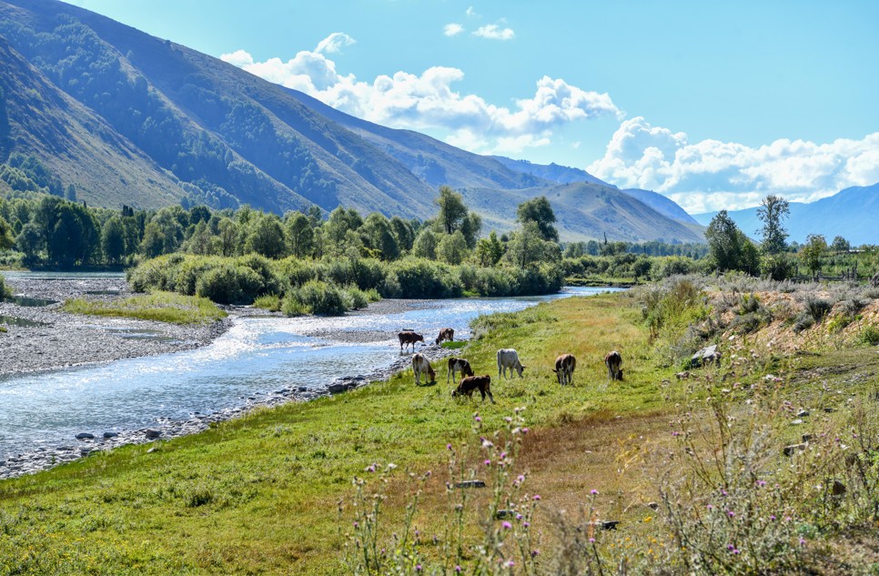 Марқакөлдегі туристік қалашықтың болашағы қандай?