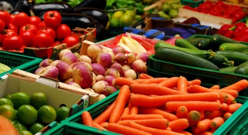 Президент агрохабтар мен логистика орталықтарын дамытуды тапсырды