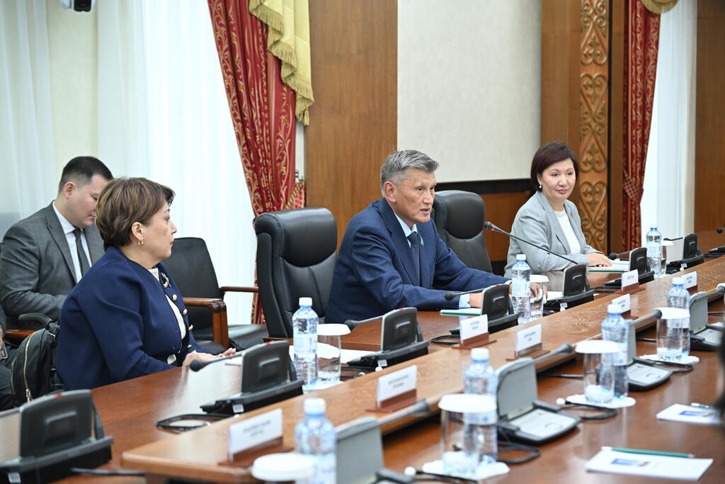Сенаторлар инклюзивті саясат мәселесін талқылады