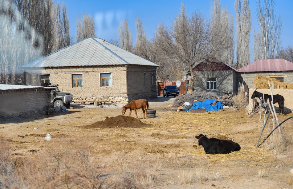 Қытайлық әйелдің сиськи туралы бейне Жетілген аққұбалармен жыныстық қатынас