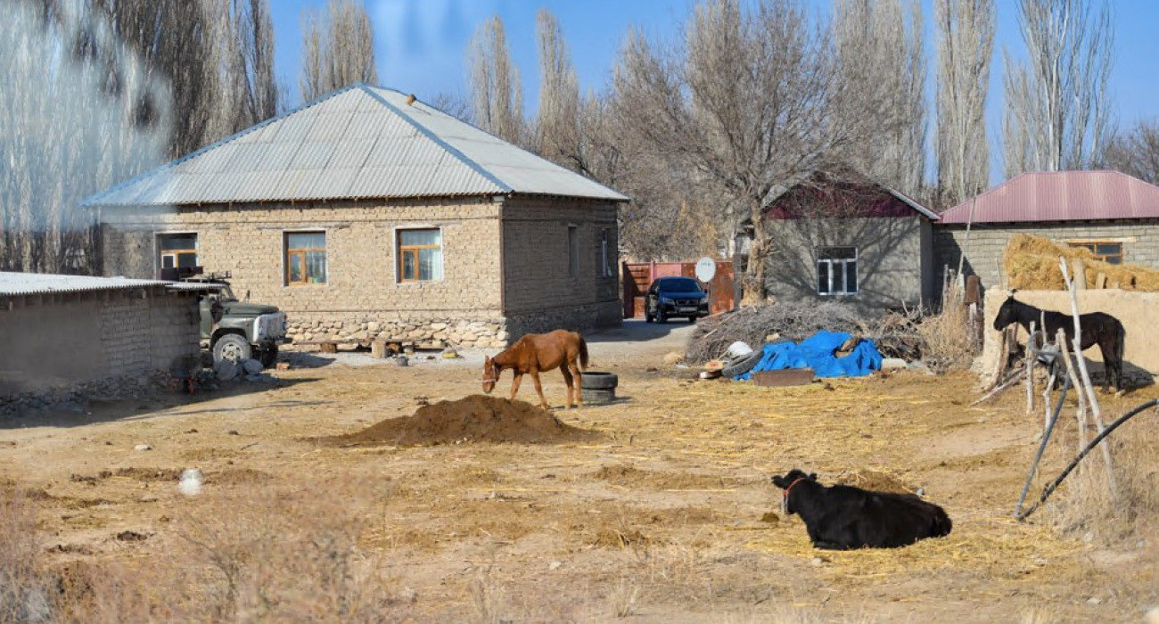 Бір үй иесі үшін екі Бір үй иесі үшін екі