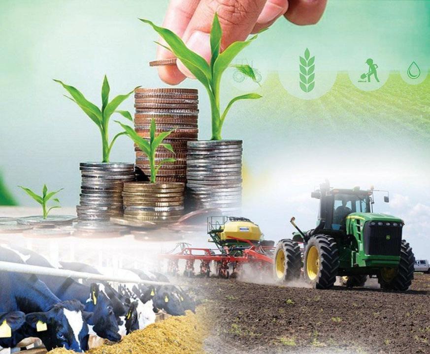 Ауыл шаруашылығының жалпы өнім көлемі 3,4%-ға өсіп, 3,6 трлн теңгеге жетті