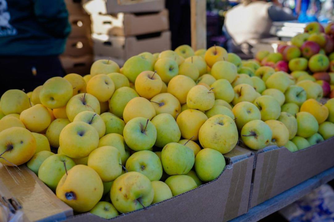 Астанада Ақтөбе мен Қызылорда облыстарының ауыл шаруашылығы жәрмеңкесі өтіп жатыр