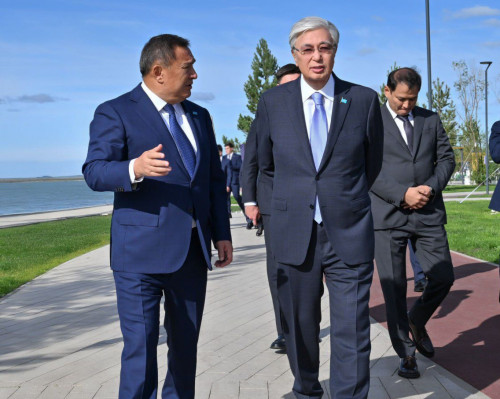 Президентке «Көк шалғын»  жобасы таныстырылды