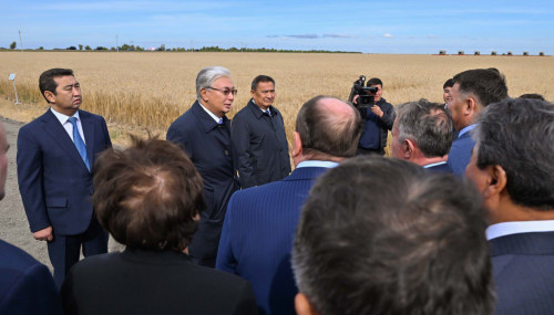 Президент Ақмола облысындағы ауыл шаруашылығы кәсіпорындарының жетекшілерімен әңгімелесті