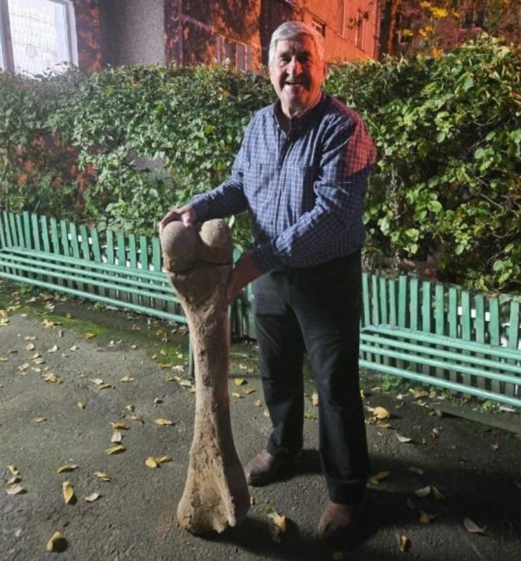 Мамонттың жілік сүйегі табылды