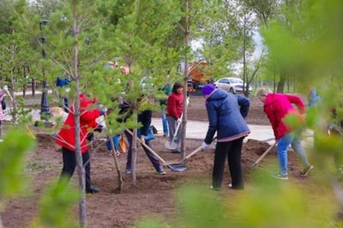Астанада жалпықалалық сенбілік өтеді