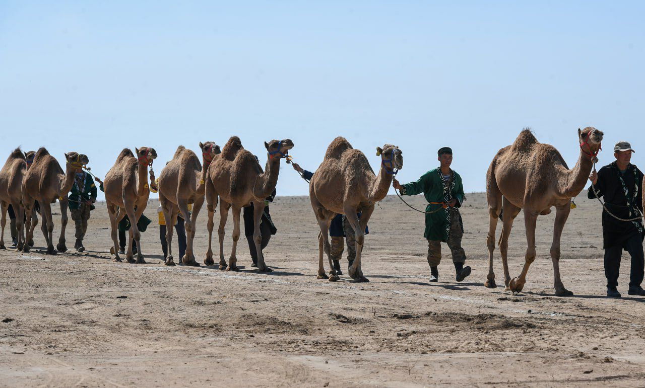 Мен подружкамды ұйықтатып, барлық тесігінен трахает еттім. Жапон әйелдерімен онлайн порно видео