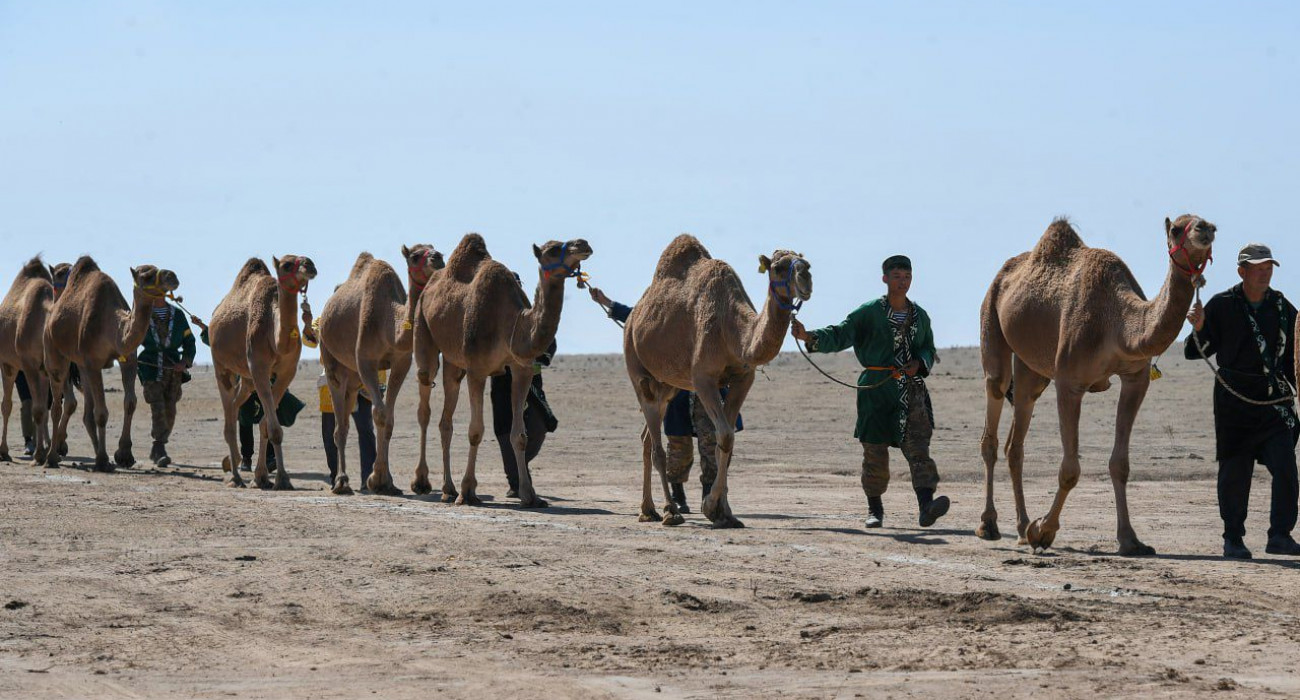 Ешектегі дик