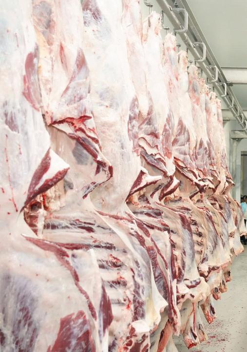 Жасыл шашты және татуировкасы бар порно актриса Америкалық порно жұлдыздардың порно видеолары