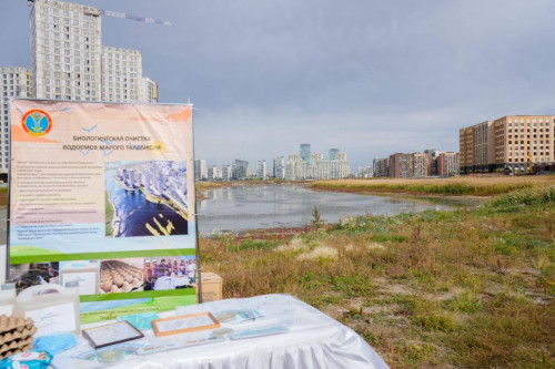 Талдыкөлде тазарту жұмыстары жүргізілді