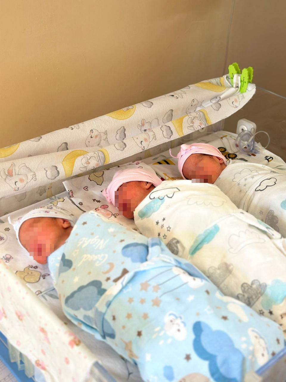 Алматының туған күнінде 69 сәби және үшем дүниеге келді