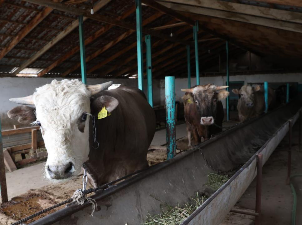 2,4 миллиард несие берілген