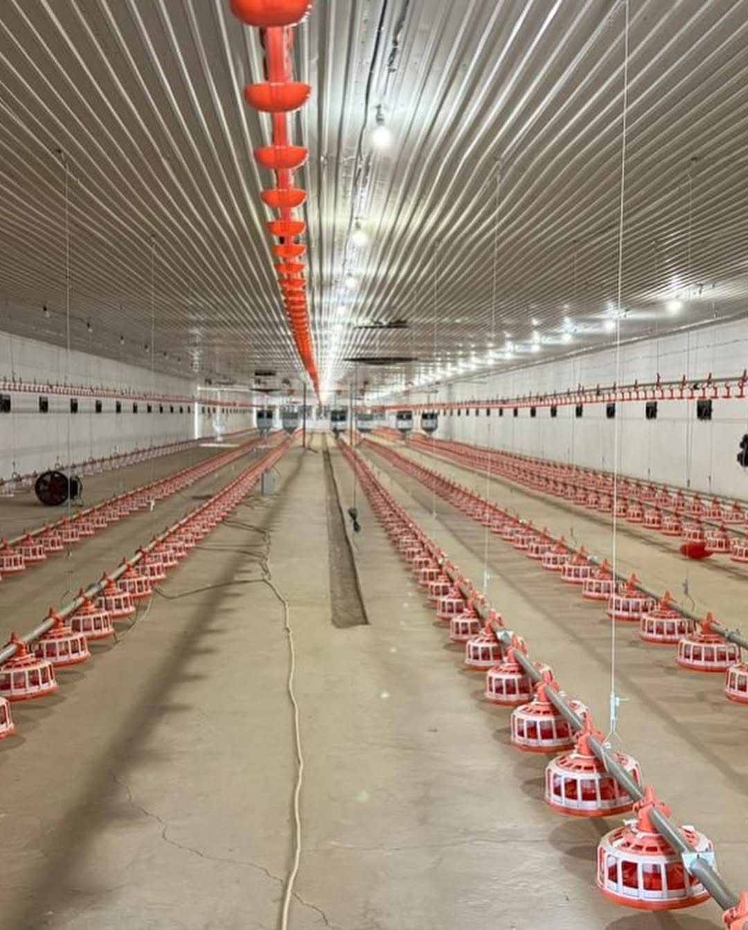 Импортқа тәуелділік азаяды