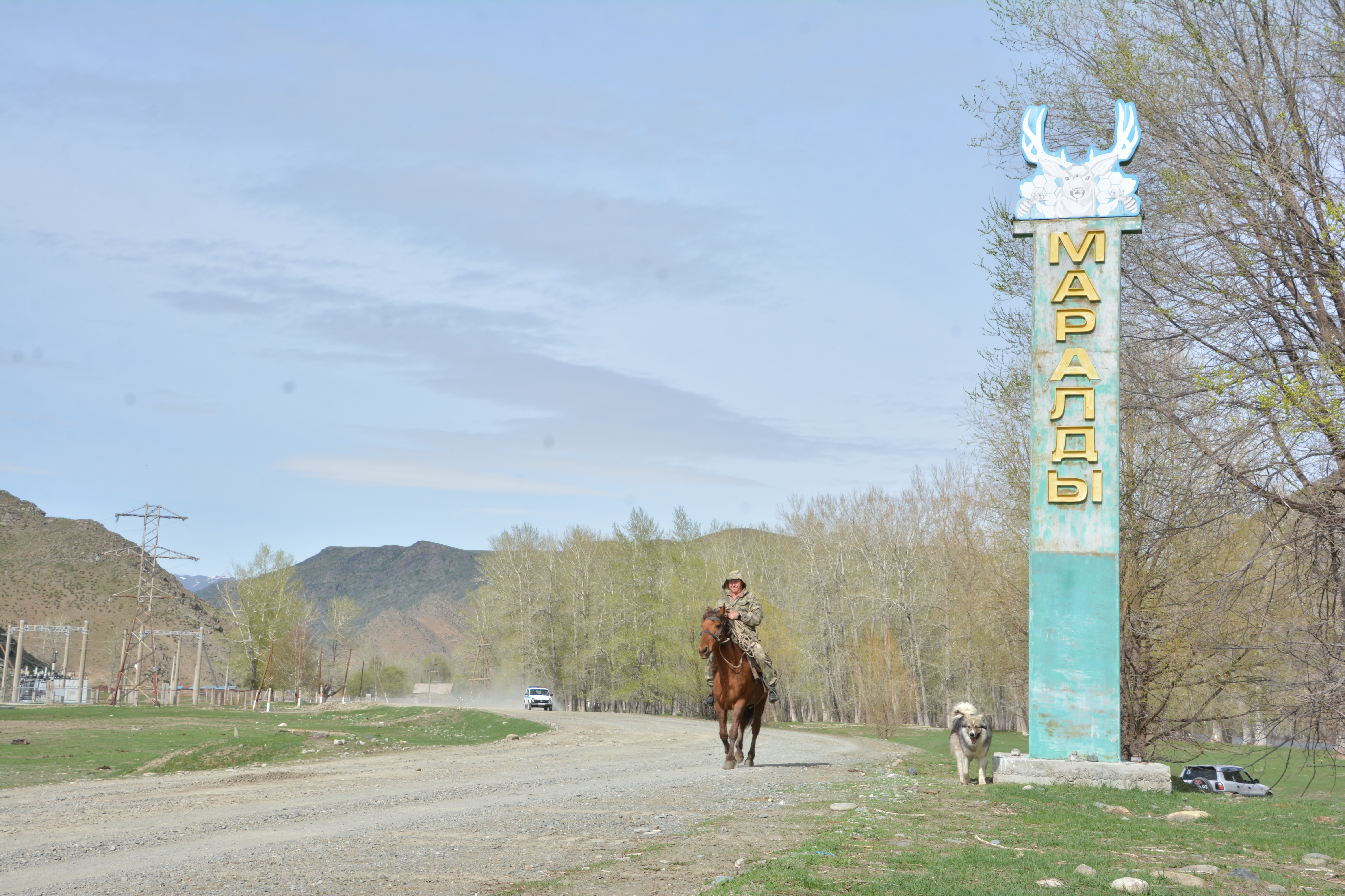 Маралдыда мал қырылып жатыр