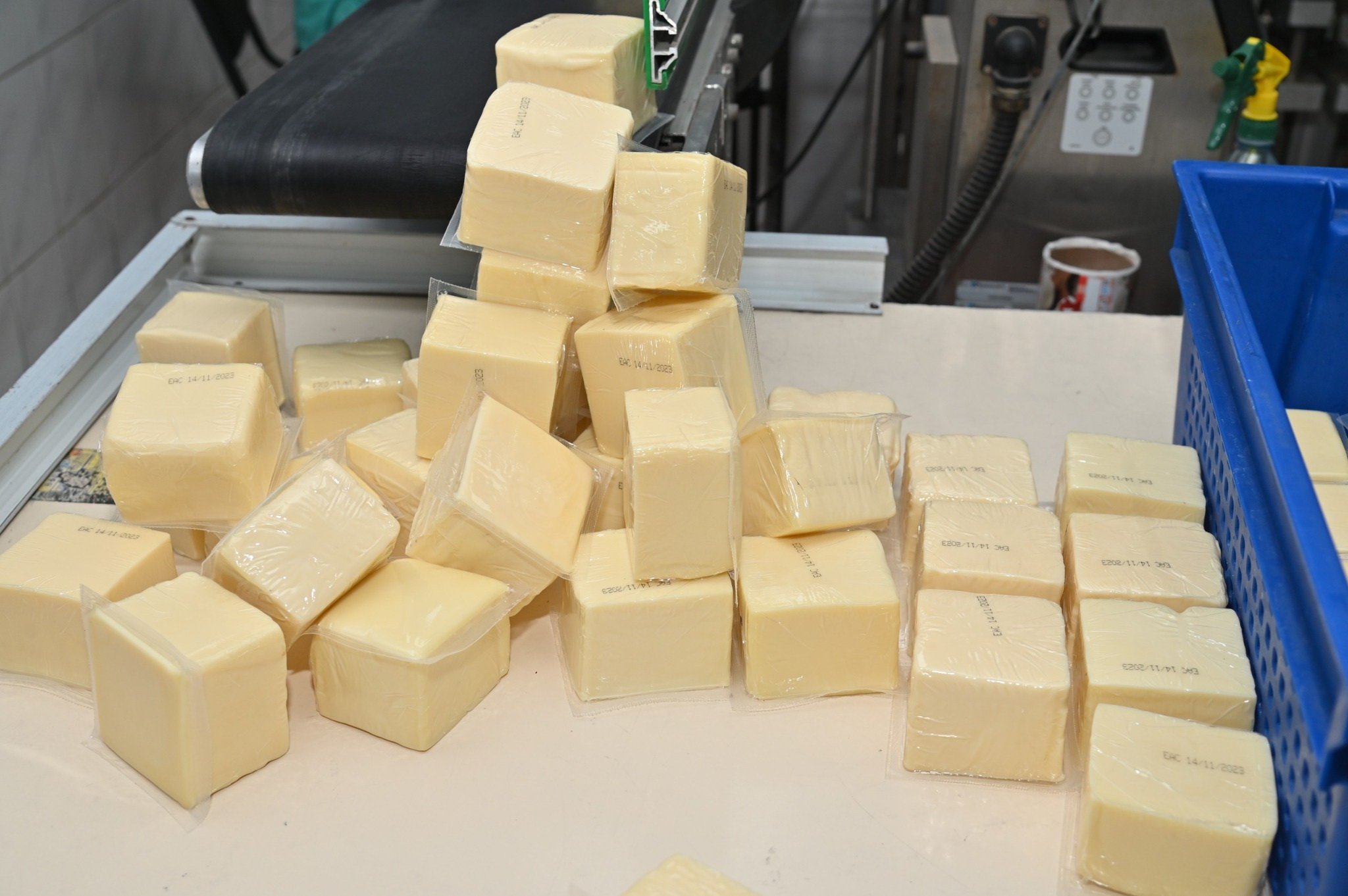 Қайта өңдеу саласының қарышты қадамы