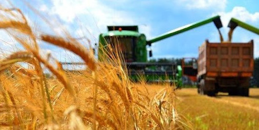 Ақмола облысында 5 миллион тонна астық жиналды