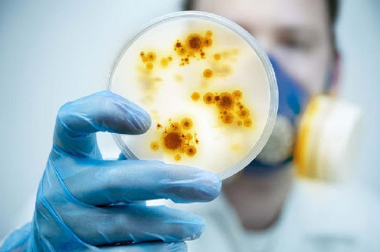 Елімізде жұқпалы ауру едәуір азайды