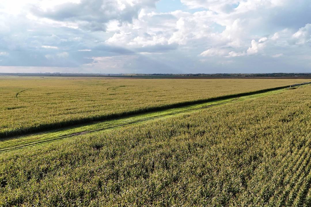 Өрістен дүкенге дейін