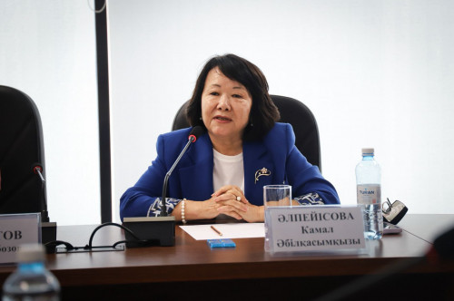 5 кеселге қарсы күрестің жол картасы әзірленеді