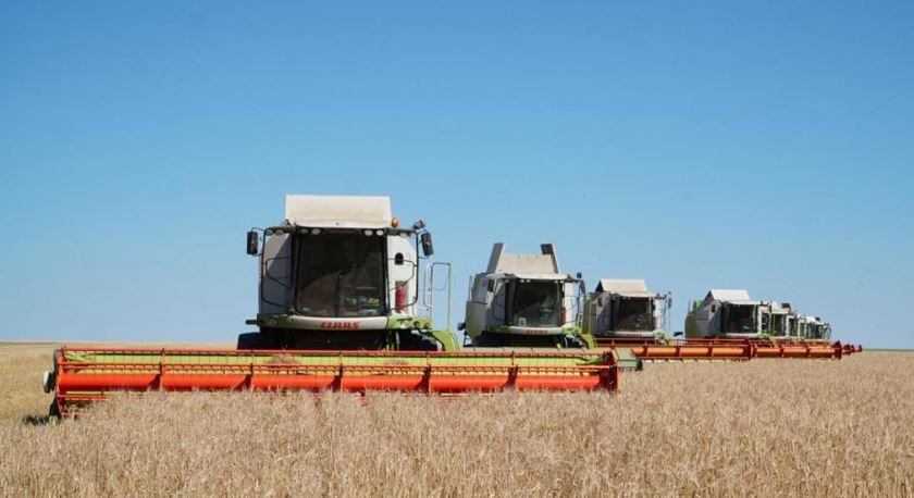 Ақмола астықтан рекорд жаңартуға дайын