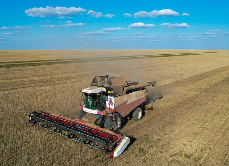 Импортқа тәуелділік азайса игі