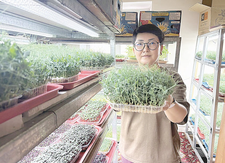 Микрожелекті табыс еткен