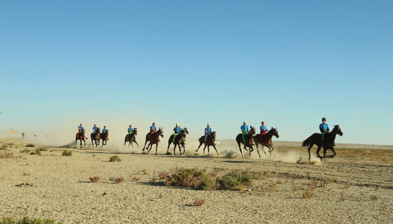 Бұл есекке әрең сыйды (порно)