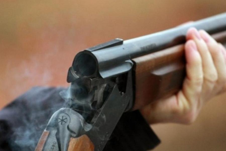 Қарағандыда елік атқандар ұсталды