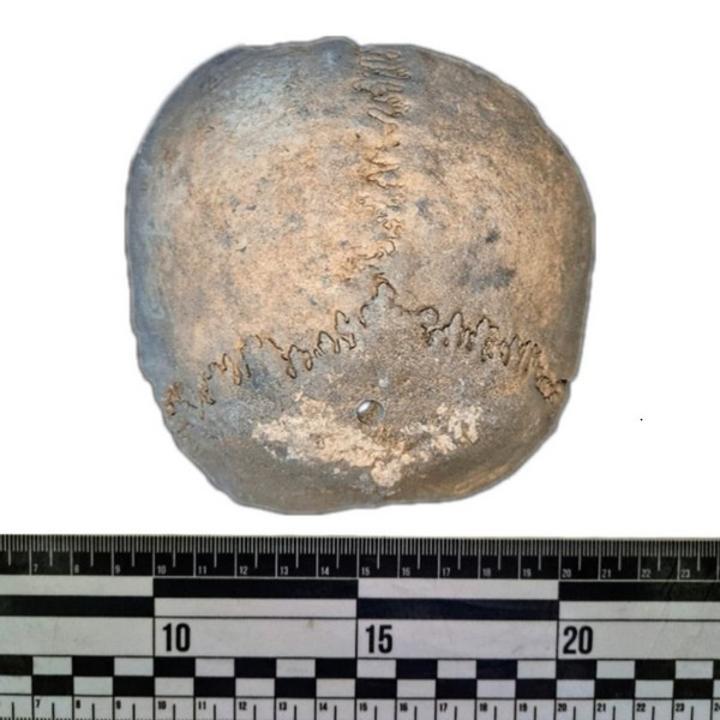 Археологтар Талдыдан 11 қорым тапты