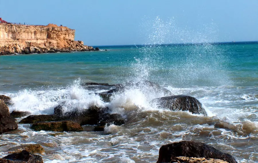 Каспий теңізінің ахуалын жақсартуға баса мән беруіміз керек - Президент