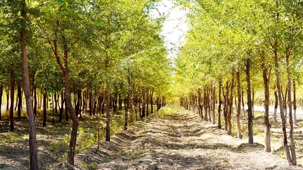 Бала күтушілерге арналған порно видеолар