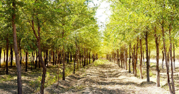 Орыс шлюха түрік қонақүйдегі порно онлайн