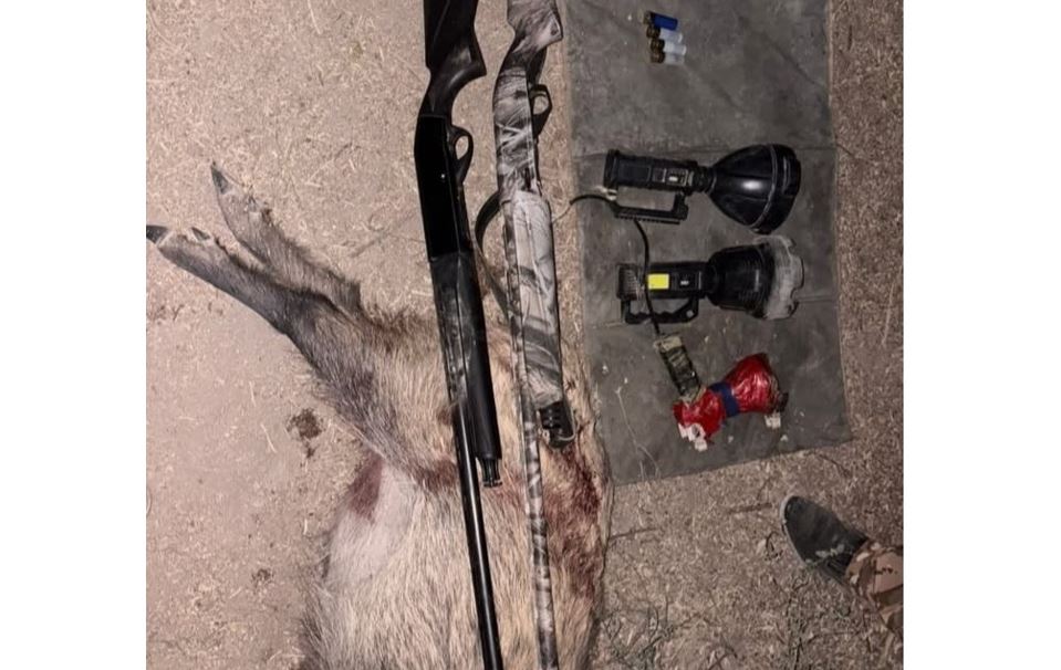 Отырар тұрғындары ерекше қорғалатын аумақта заңсыз аң аулаған