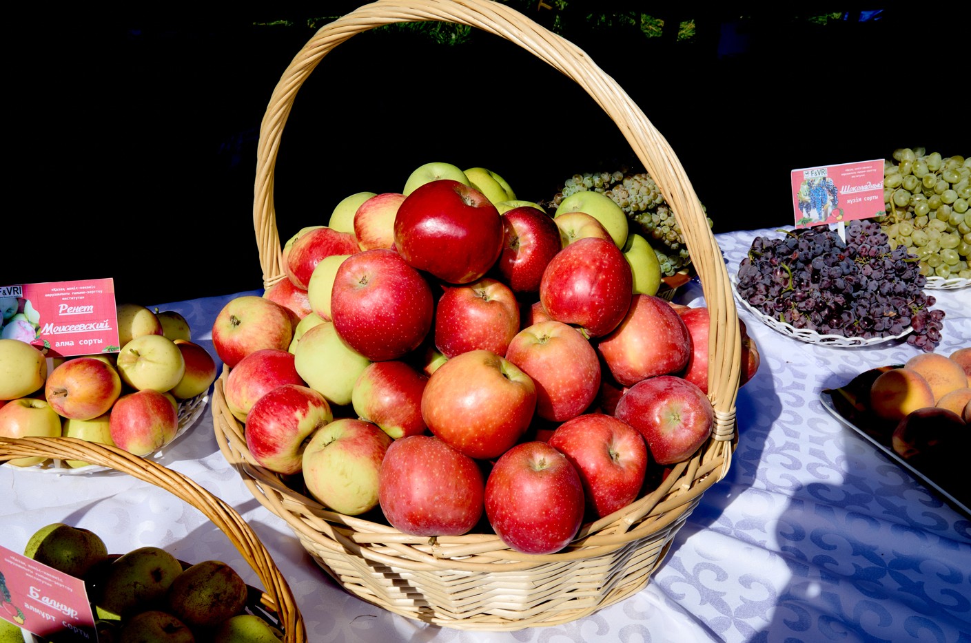 Апорттың бәсі артады
