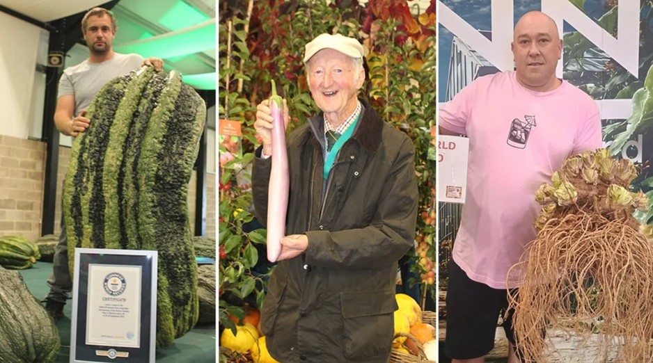 Алып көкөністер