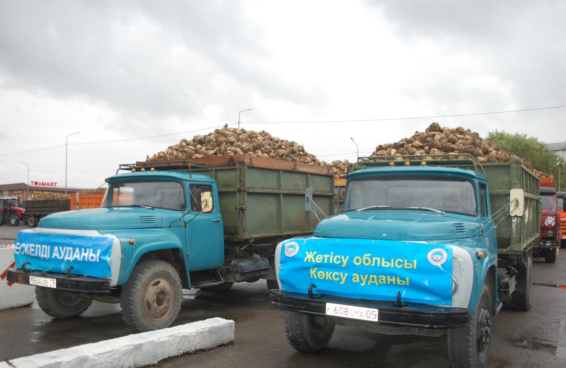 Қант қызылшасын қабылдау басталды