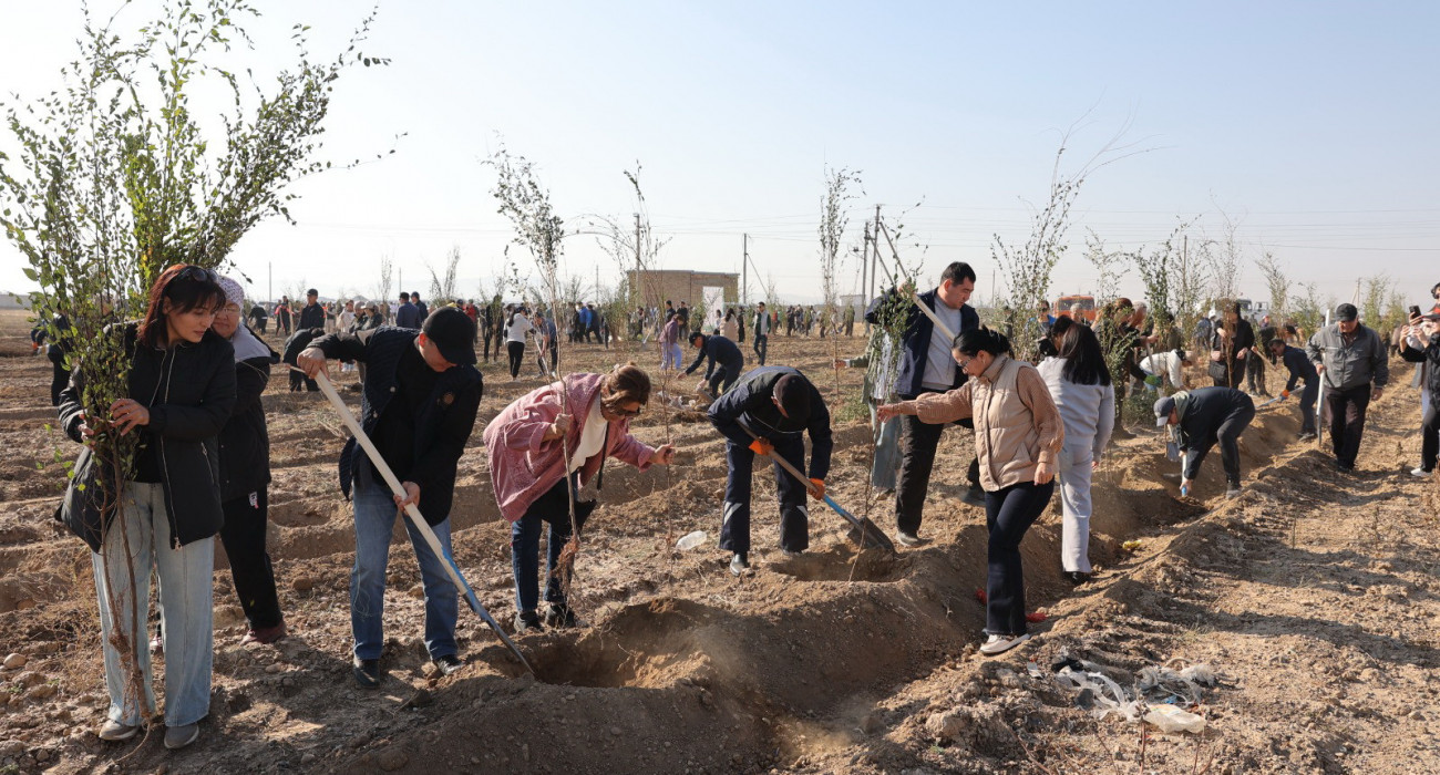 Олар менің кискамды жыртып тастады BBW-ның түкті жопындағы порно