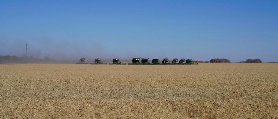 СҚО-да орақ науқаны аяқталуға жақын