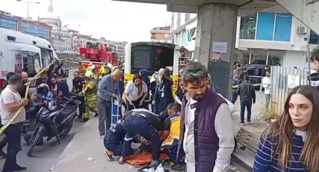 Үлкен жопаның секс фотосы