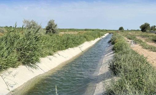 Жетісуда суармалы жерлердің көлемі ұлғаяды