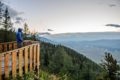 Үш млн адам Қатонқарағайға сүйсінді