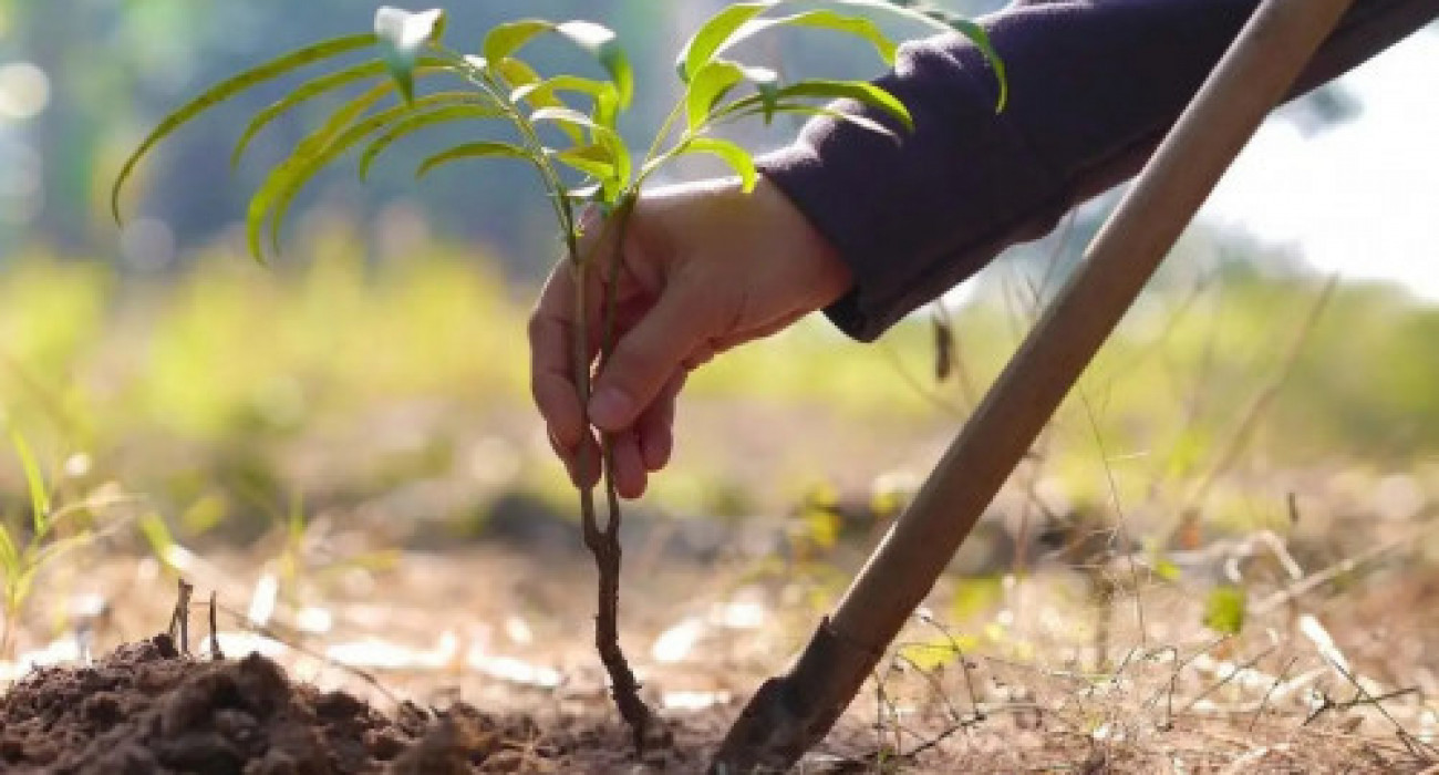 Сексуалдық видео үй қызметкерін былғады