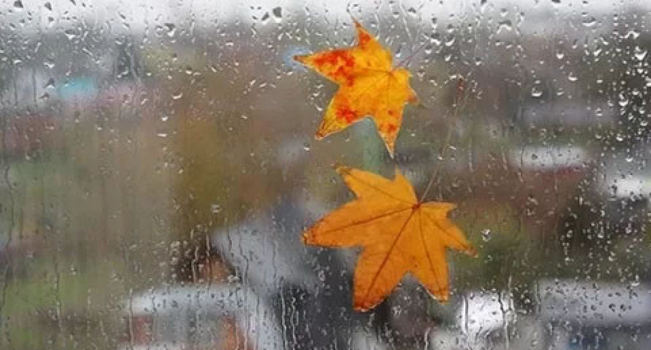 Үлкен письки, әтештер және шарлар