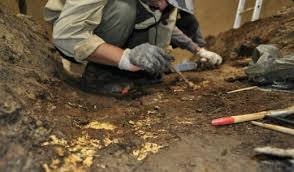 Қазақстанда археологиялық жұмыстардың бірыңғай ақпараттық жүйесі құрылады